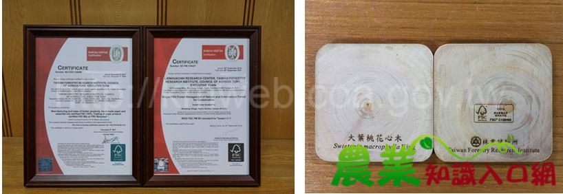 2018世界環境日,邀你一起守護森林做環保