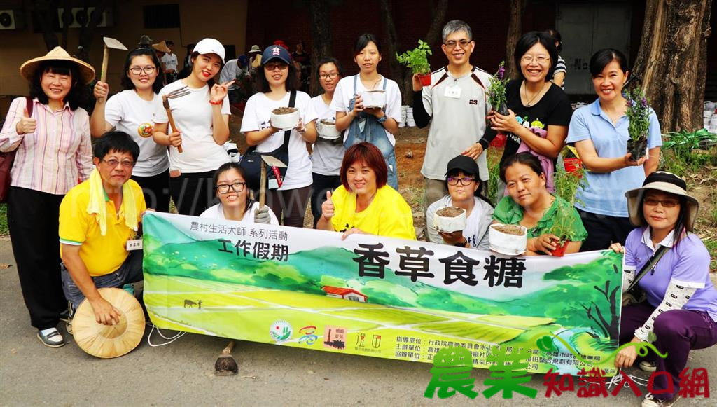 汗涔涔的笑顏 「香草食糖工作假期」傳承農村美好