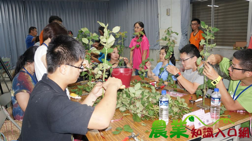 新進農民搖籃　農改場開辦園藝入門班