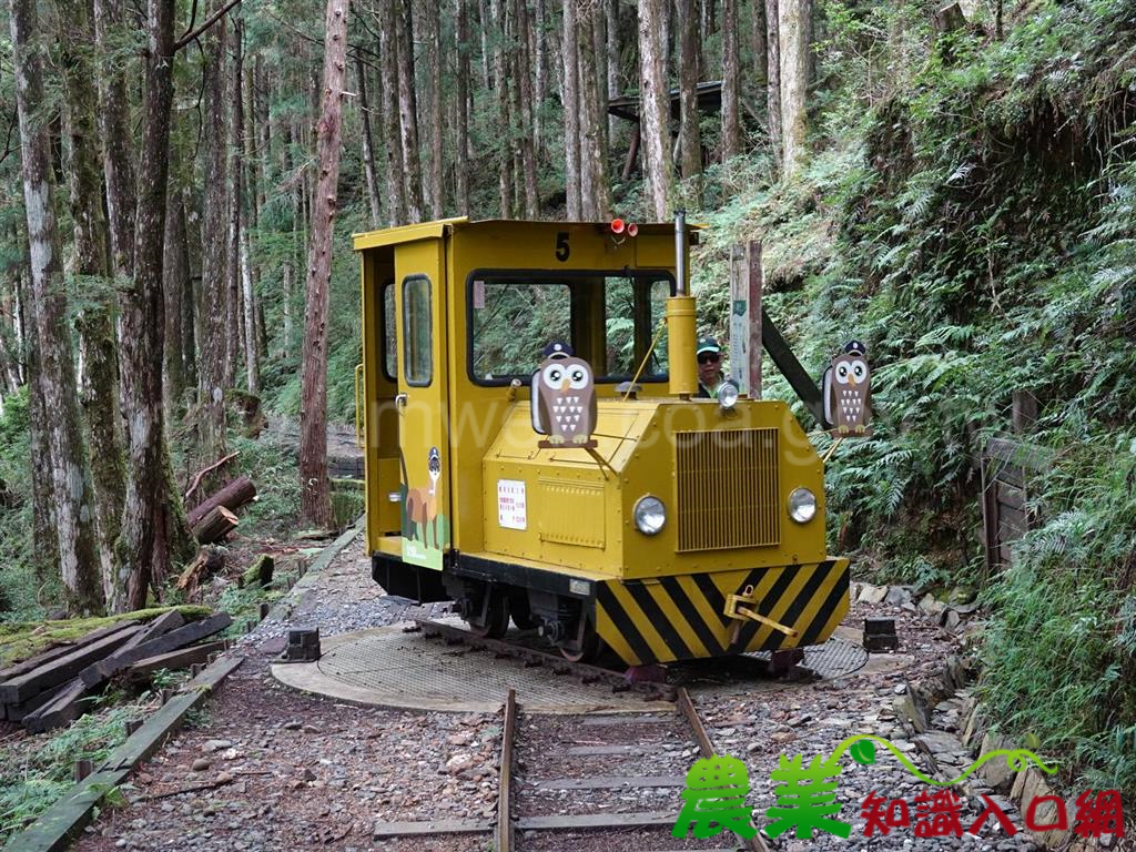 太平山蹦蹦車 9月19日重現風華