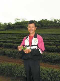小而美的茶葉生產區－陳振慶談蘆竹鄉的茶葉