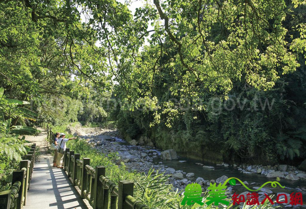 水秀山靈，里金館追尋原客文化－苗栗縣南庄鄉˙ 南江休閒農業區