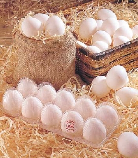 鄉間小路--我是一支CAS中式香腸