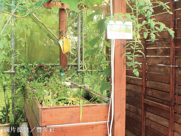 從競爭到雙贏人生魚菜共生之路