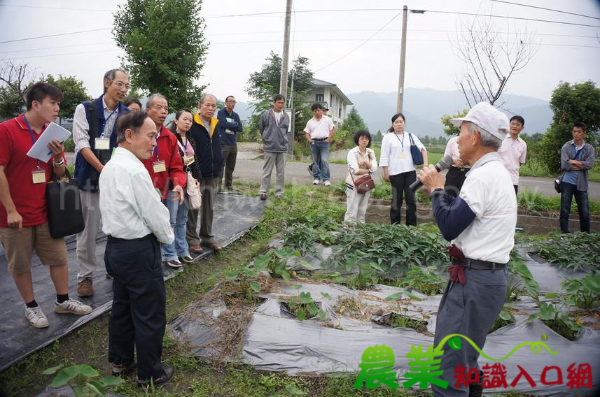 確保有機農產品品質 首重病蟲草害防治及肥培