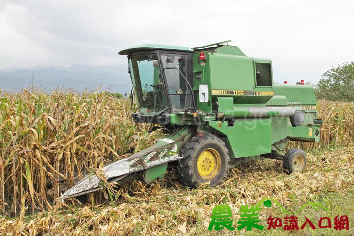 硬質玉米採收機械化-活化農田好幫手