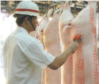 豐年-防疫檢疫全民一起來