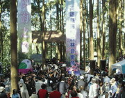 2008樹海之聲—高雄縣藤枝森林音樂會演出成功