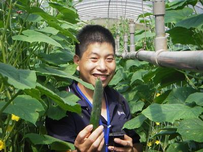 農業青年馬文權　務農有一套