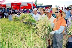 無米樂園區收割 縣長認養稻田