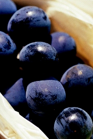 鄉間小路-信義鄉巨峰葡萄