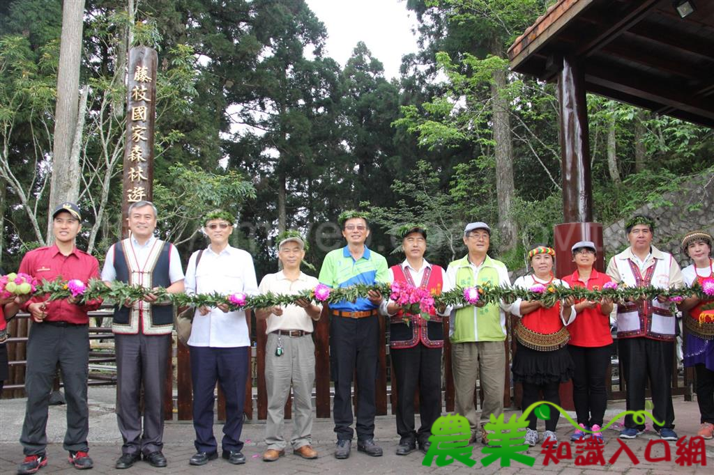 藤枝國家森林遊樂區3月30日試營運祈福活動 歡樂溫馨平安