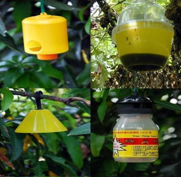 替代吸附資材在防治東方果實蠅效能之探討