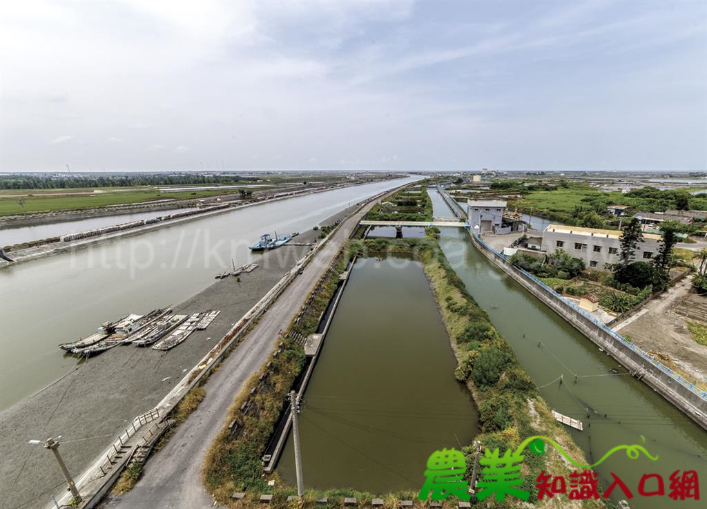 海口風情畫，美味水產看濕地生態－雲林縣口湖鄉˙ 金湖休閒農業區