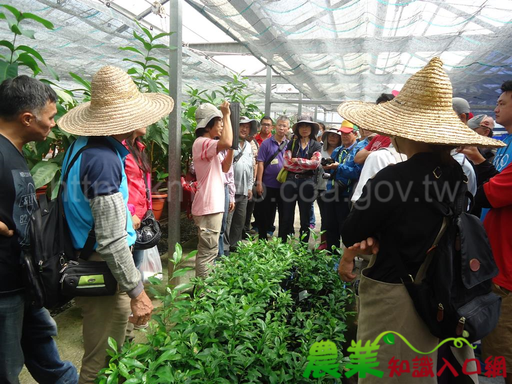 實用易學蔬果繁殖技術課程　學員熱烈迴響