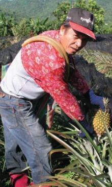 王宗敬  天生的「做田仔子」