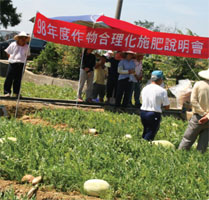 西瓜合理化施肥