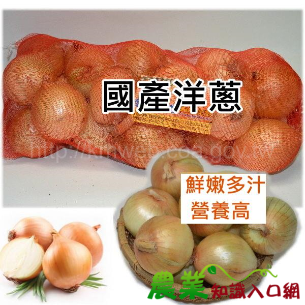 支持國產洋蔥　農糧署推產地直送企業團購優惠活動