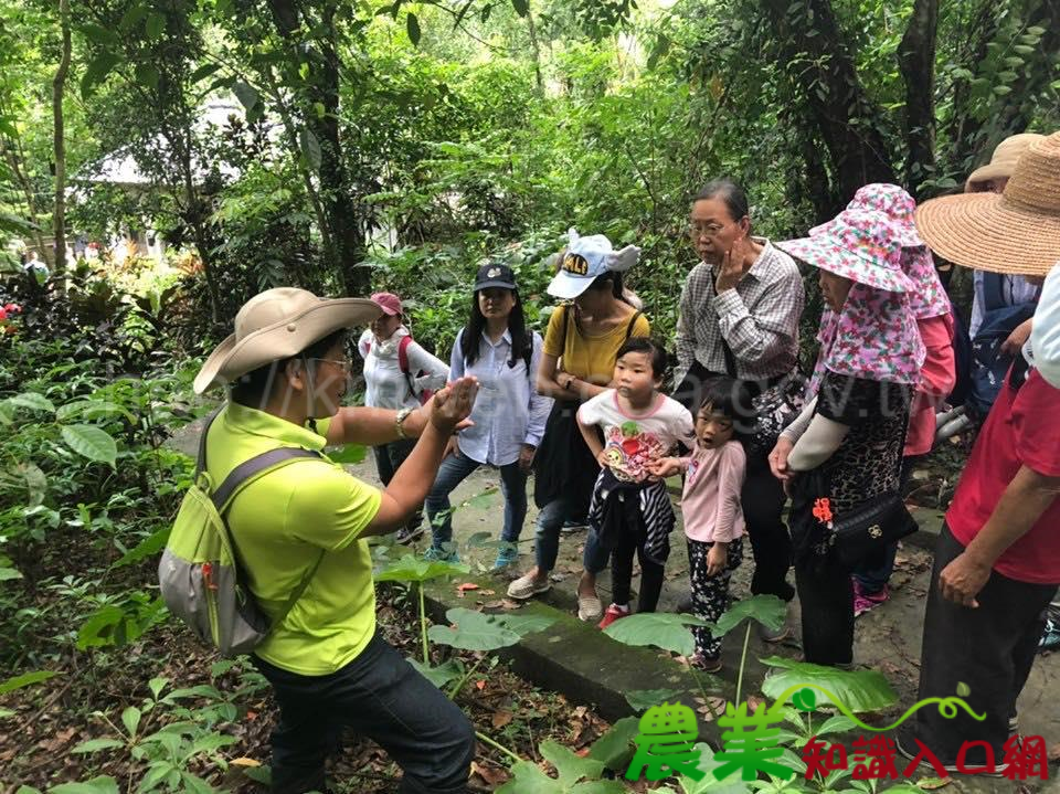 山林講堂第一彈 美山濃林生態遊 雙溪流水滋育大地