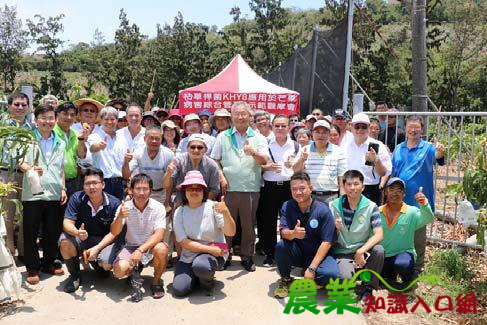 歡收芒果安心食-枯草桿菌KHY8 成效令人驚豔，省錢減藥一次滿足