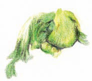 島嶼餐桌上的長年菜