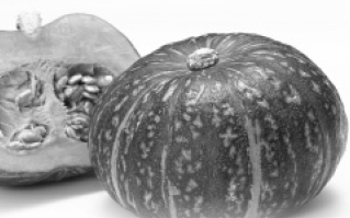 又是南瓜成熟時