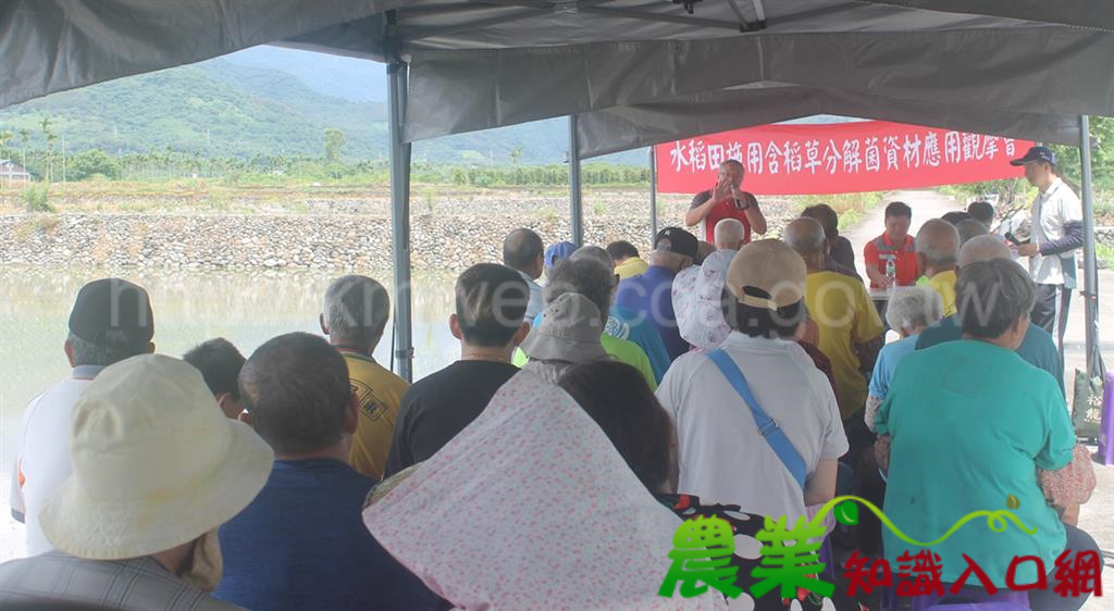 稻草腐化不燃燒，維護環境有一套 臺東場舉辦「水稻田施用含稻草分解菌資材應用觀摩會」