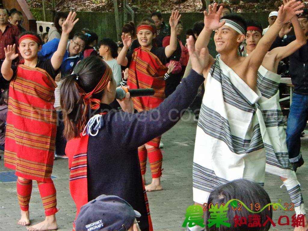 勇闖八仙山！母親節闖關遊戲 帶您擁抱泰雅、體驗林場文化