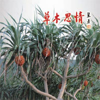 林投─相思始覺海非深