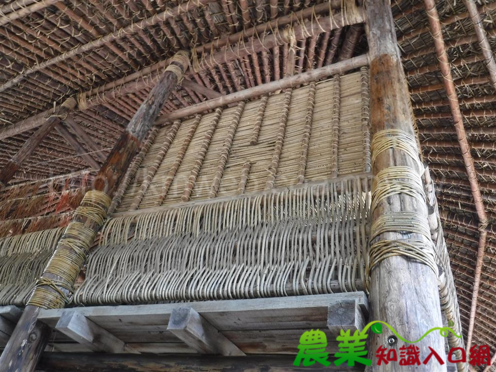 黃藤萬用－共享自然資源再創建築文化價值