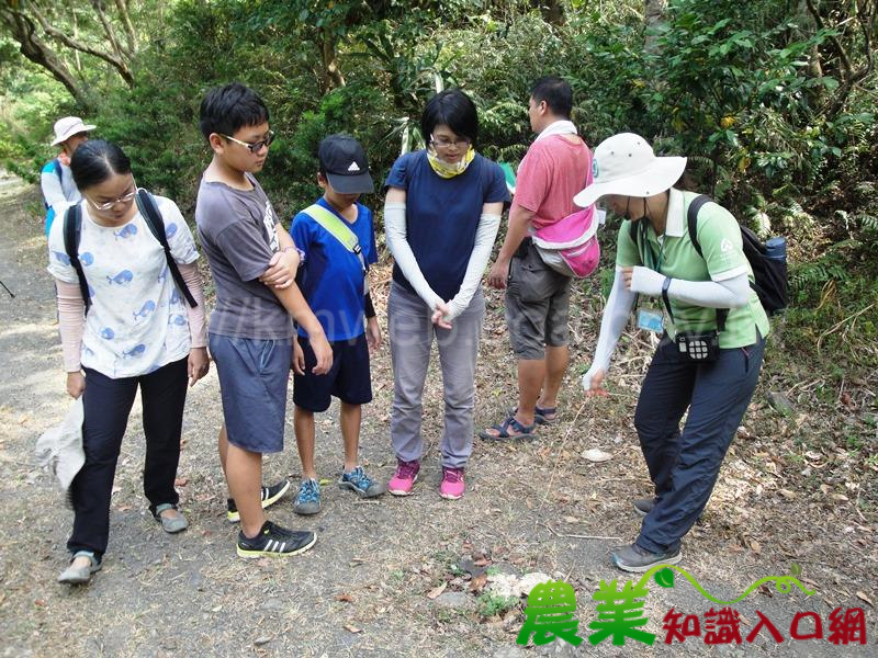 雙流自然教育中心「黑蛇蛇蛙蛙蛙之與蛙共眠」 季節限定野營夜觀活動豐富又有趣