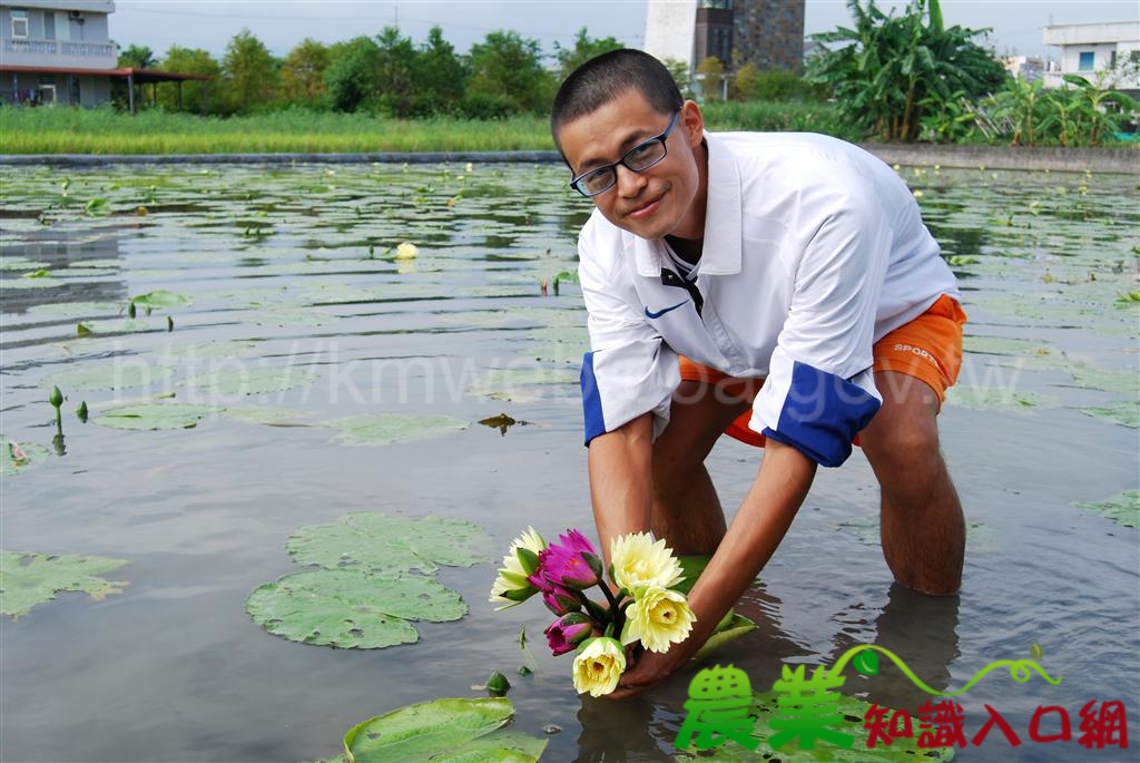 來趟羅東有機蓮花田之旅－陳榮淇、陳春男