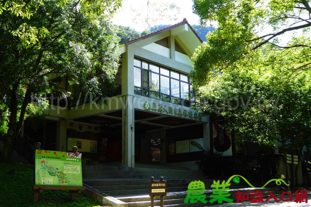 8月1日原住民族日 原民遊奧萬大只要10元