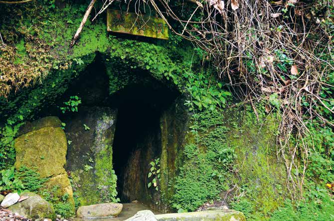 農遊趣大臺中 山環水繞頭汴坑遊蹤