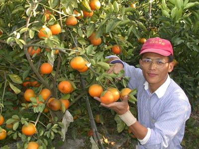 用心記錄果園情 賴仲由賦予土地新生命