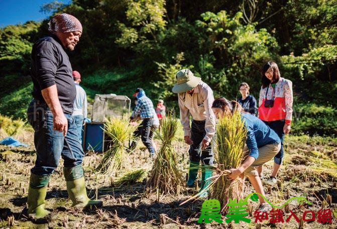 掌握軟功夫　綠色行銷術有一套