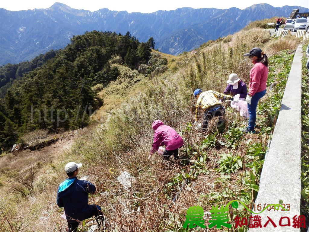 響應422世界地球日 合歡山、大雪山齊力淨山愛地球