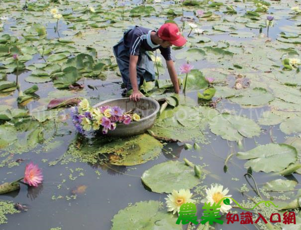 死而後生的花間路