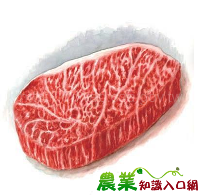 食材你好-牛肉