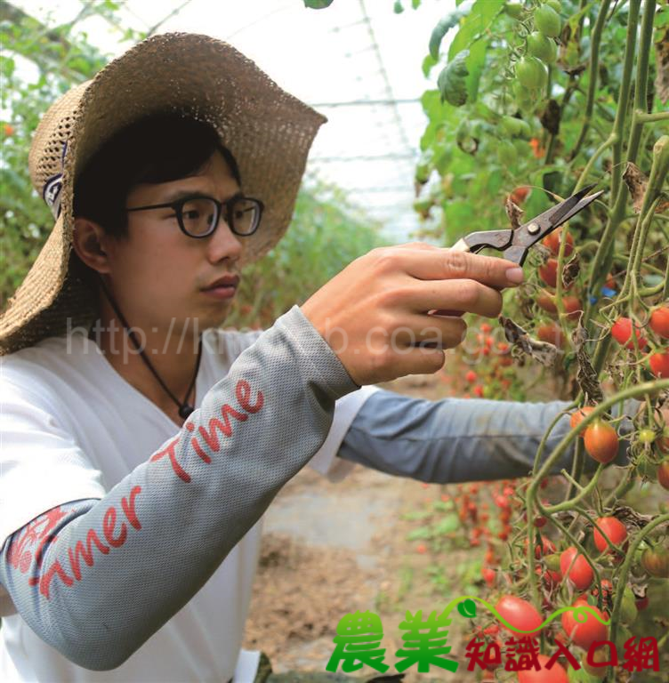 湧泉環繞　黑鳶相伴－綠舍有機生態農場