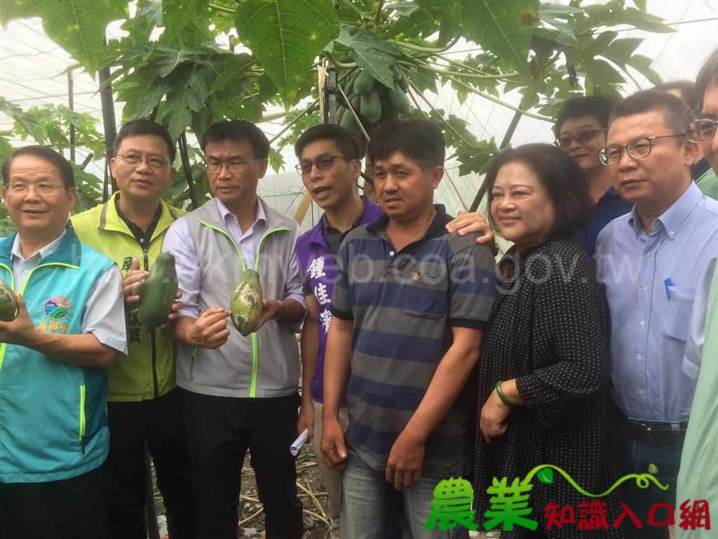 農委會主委赴產地關心豪雨災情 並主動公告中南部等六縣市辦理瓜果類等現金救助 8月30日前申請