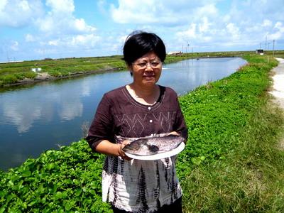 不用藥的好滋味 石斑魚達人黃芬香