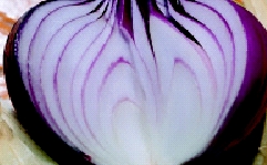 鄉間小路-恆春洋蔥與有機紫洋蔥