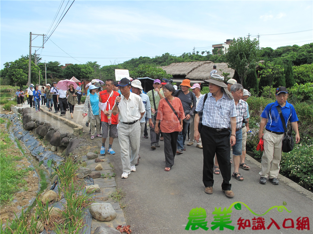 農村傳統技術工法傳承-水梯田環境復育打造台灣里山