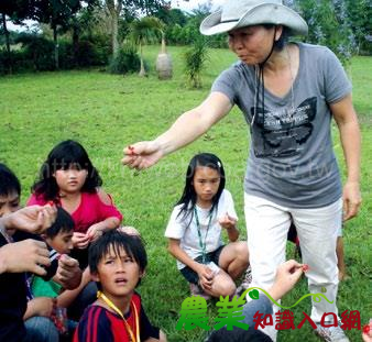 多樣化棲地營造　大榮花園提供生物一個家