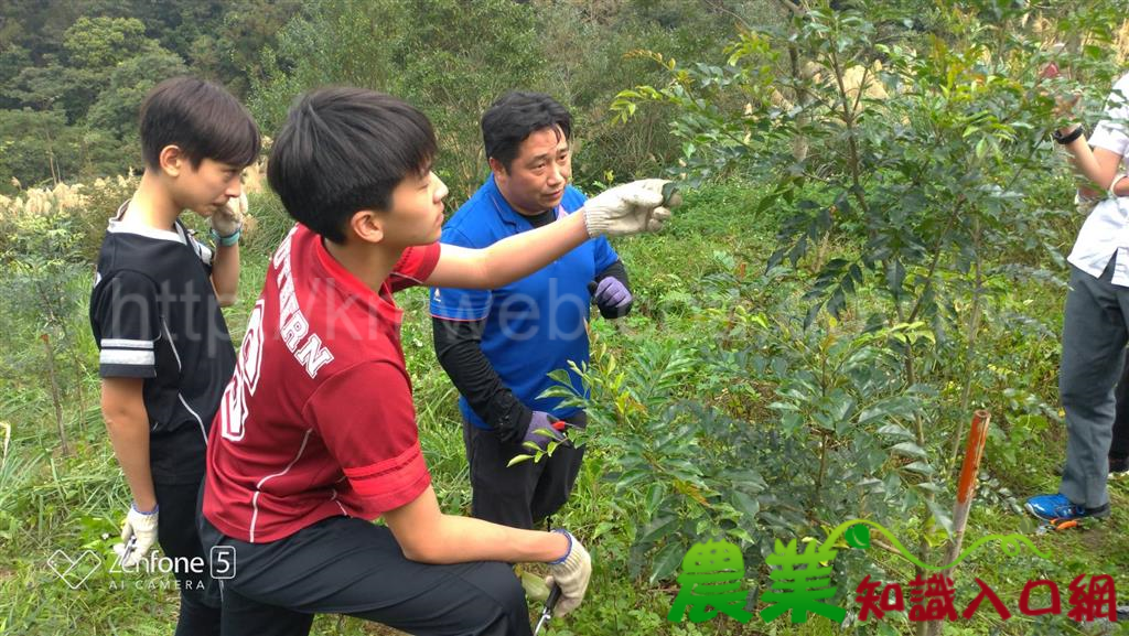 從校園到山林的植樹教育，康橋師生學習護樹