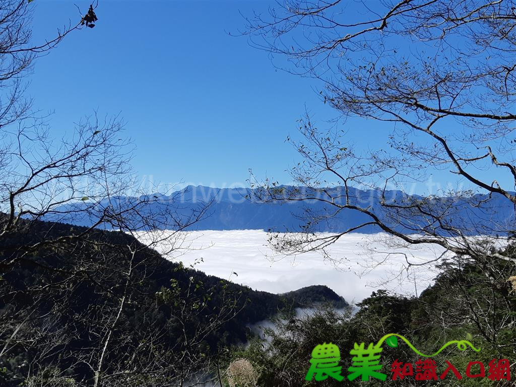 宜蘭四季林道山區美景，森林護管員全都錄