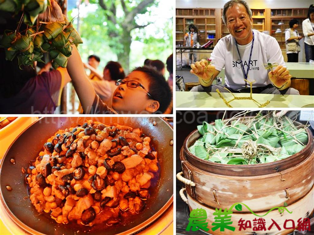 「ㄚ嬤的鹹草」,邀您來「包粽」,跟著水生植物變身趣!