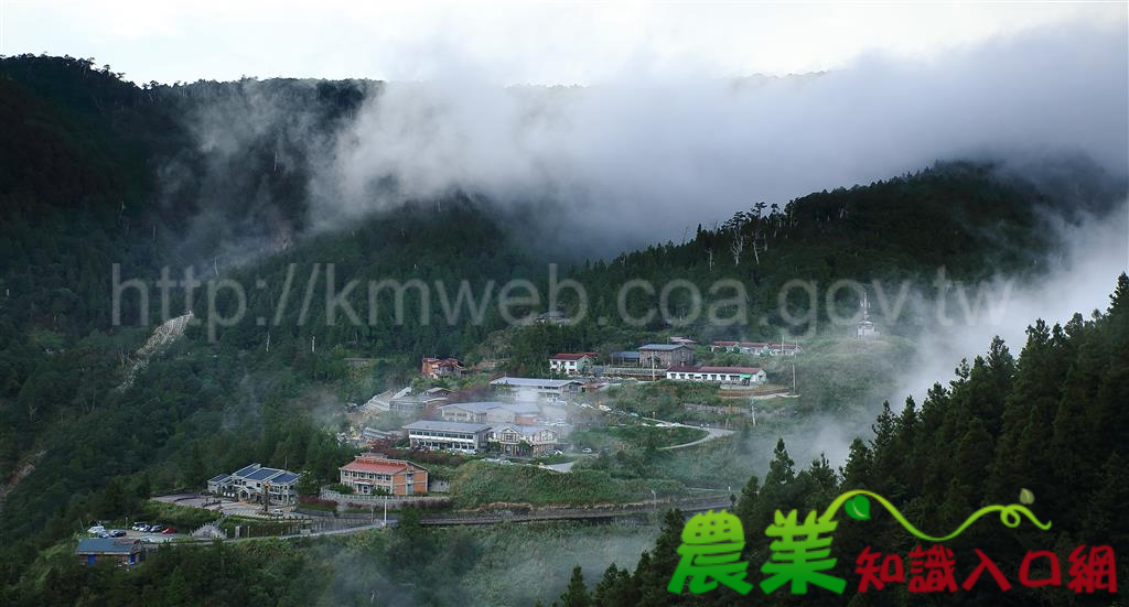 森林療癒，從心開始~~太平山的療癒之旅