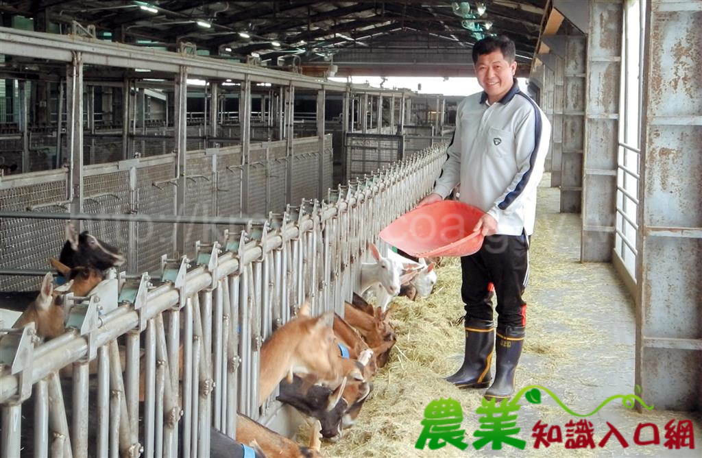 神來牧場　陳國顏　力推自動化盼成產業「領頭羊」